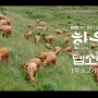 KBS1 / 넷플릭스 <한우랩소디> 북악정