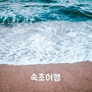 양양,속초여행/ 두두 짬뽕 순두부,중앙시장 타코이찌,코와붕가 피자,바다뷰 카페 텀블러,범부 메밀국수,맛깔 칼국수,남경 막국수