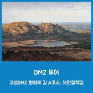 DMZ 투어 - 고성DMZ 평화의 길 A코스, 해안철책길