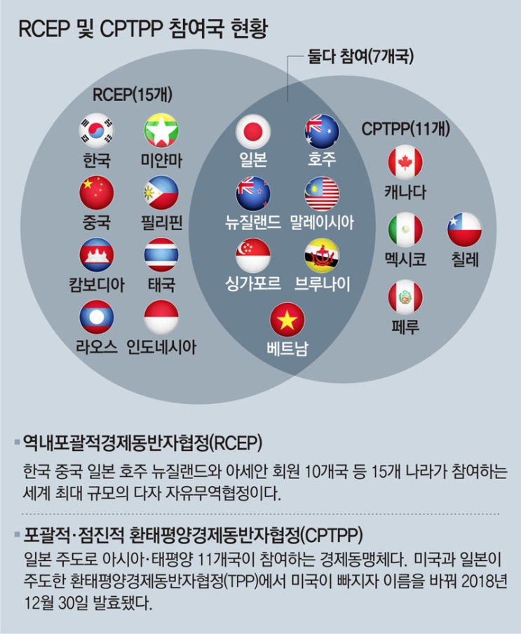 CPTPP가입 수출다변화 전략상 불가피한 선택 : 네이버 블로그