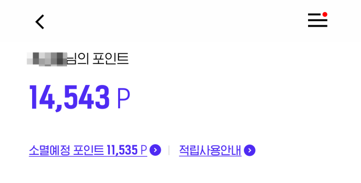 H포인트 (H Point) - 적립, 전환, 사용 방법, 친구초대 이벤트까지 : 네이버 블로그