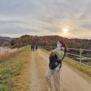 11월의 가벼운 일상 - 성거 '천흥저수지' 산책