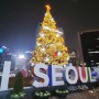 환하게 불밝힌 서울광장 크리스마스 트리