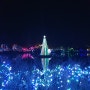 [미국생활] 신시내티 동물원_light festival