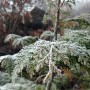 단양펜션 슈르르까의 겨울 정원