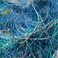 수산업법 개정으로 어구관리, 해양쓰레기 감소를 기대합니다