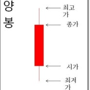 양봉,음봉 그게 뭐에요??