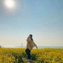 울산 대왕암-슬도 해안산책로 제주도감성 유채꽃밭