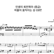 하울의 움직이는 성 OST - 인생의 회전목마 (중급버전,2단악보) / 연주영상 (초급.중급.고급 난이도별 악보)
