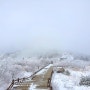 구례 여행- 눈 오던 겨울의 지리산 노고단 등산 (연기암- 노고단 원점 회귀)