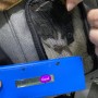 일본 나리타 공항으로 가는 . 도쿄 입국 검역절차 준비를 시작한 코숏 고양이 마리입니다. 반려동물 일본 도물검역 동물운송 수입허가서 광견병 항체가 검사