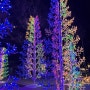 부산야경 볼만한 곳 남포동 용두산 크리스마스 트리 축제 관람기