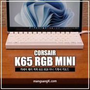 텐키리스 게이밍 기계식 키보드 추천 커세어 K65 RGB 미니 적축