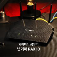 넷기어 RAX10 와이파이 공유기 성능과 가격까지!