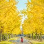 [인스타그램] 오카야마 대학 은행나무 길