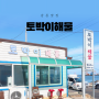 [강릉 맛집] 주문진 해물탕 맛집, 토박이해물