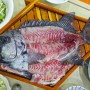 대한민국에서 가장 맛있다는 생선회 "돌돔, 강담돔" 전격 비교 및 파헤치기