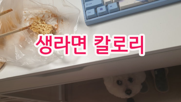생라면 칼로리 생각보다 높네요 : 네이버 블로그 생라면 칼로리 생각보다 높네요 : 네이버 블로그