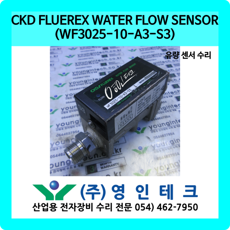 CKD FLUEREX WATER FLOW SENSOR (WF3025-10-A3-S3) 유량 센서 수리 (주)영인테크/산업용전자 ...