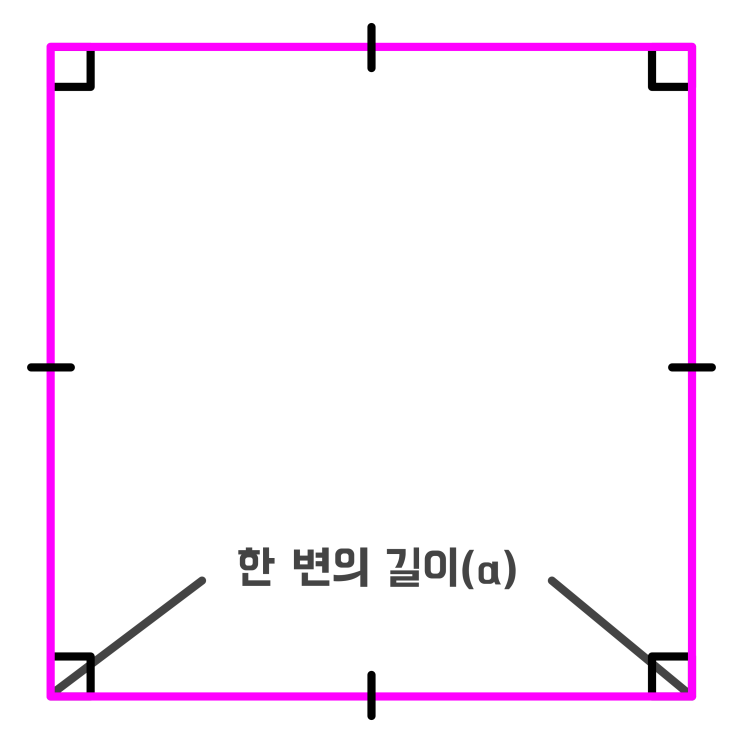 정사각형 직사각형 넓이 공식 (+ 예제 10선 풀이) : 네이버 블로그