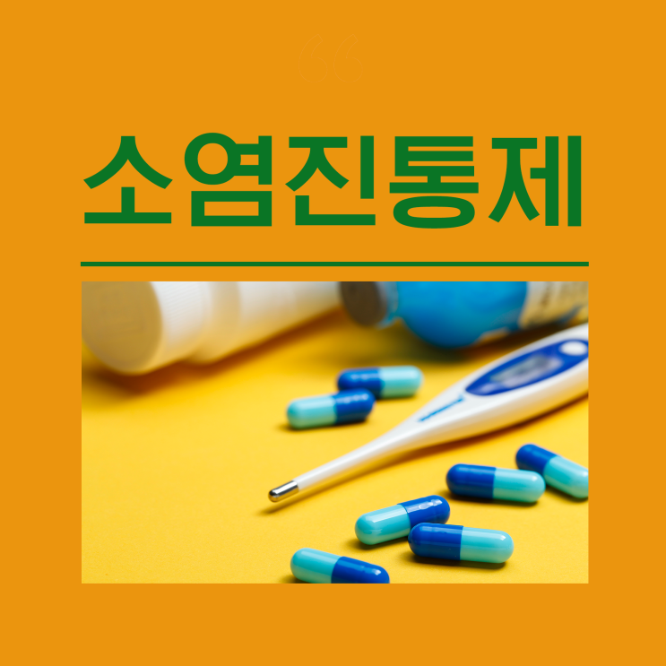 소염진통제 종류 아세트아미노펜 타이레놀 이부프로펜 덱시부프로펜 부루펜 아스피린 효능 게보린 탁센 코로나 해열제 교차복용 ...