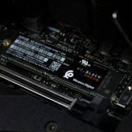 가성비 PCIe 4.0 NVMe SSD, WD_BLACK SN850 500GB