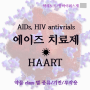 에이즈 치료제 항바이러스제 (HIV antivirals, HAART)