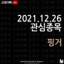 #핑거 21.12.26 일요일 주식관심종목