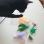키트니 : 고양이 장난감 깃털 낚시대 카샤카샤 꿩깃털
