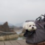 위고노 강아지이동가방, 강아지와 여행갈때도 챙겨요!