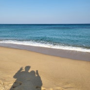 강원도 강릉에서 겨울바다 실컷보기🌊❄ [오죽헌/안목해변/주문진]