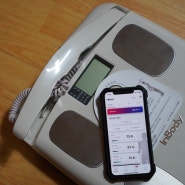 인바디체중계 홈트필수품 스마트 체지방 측정기 한달 사용후기