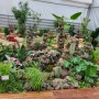 겨울여행, 은행동 성남시식물원 내 ‘사계절 초록 온실’ 개장