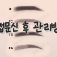 놓쳐서는 안되는 눈썹 문신 후 관리법과 부작용 예방하는 8가지 방법