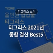 티그리스 2021년 종합 결산 Best5