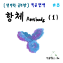 [면역학 공부] 항체(Antibody) (1)