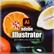 Adobe Illustrator 일러스트 파일 누끼 따기 사진 이미지 자르기 방법