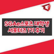 SGAe스포츠 대학생 서포터즈 1기 후기