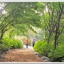 한국자생식물원, 강원도 평창