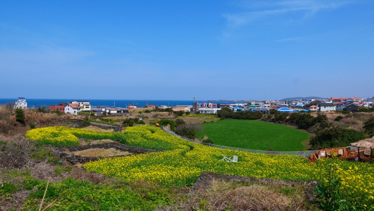 제주 우도 여행 : 배시간, 가는법, 차량승선, 성산항 종달항 선착장 : 네이버 블로그