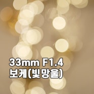 후지단렌즈 xf33mmf1.4 빛망울 특징과 서울식물원 사진