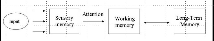 IB Psychology BLOA : 네이버 블로그
