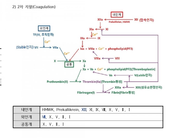 aPTT sample에 항응고제 뿌리기 : 네이버 블로그