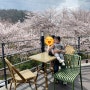 나주 벚꽃카페 카페파밀리에로 다녀오세요.