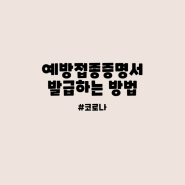 <예방접종증명서 발급>