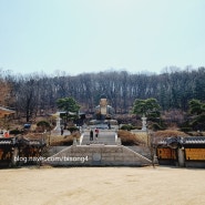 심학산 둘레길 약천사 아이랑가볼만한곳