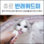 고양이 입냄새 츄르 : 랙돌이들의 반려위드미 시식기♥