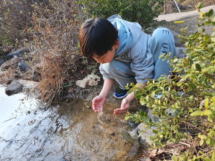 의정부 청사초롱 유아숲체험원 개구리알 채집 자연에서 놀기