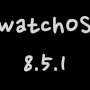 watchOS 8.5.1 업데이트 공개 (2022-03-31)