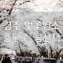 경주 흥무로 벚꽃 명소; 김유신장군묘, 금산재 피크닉